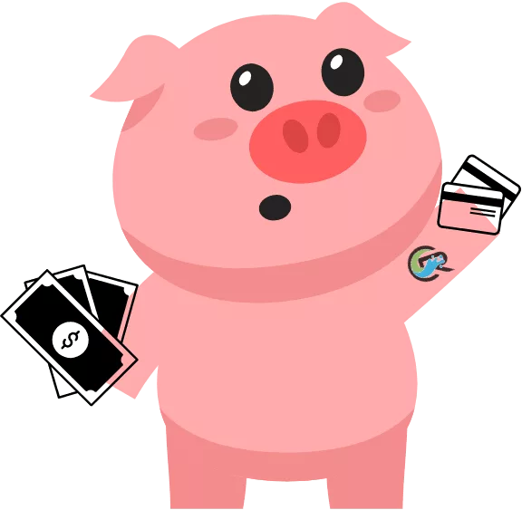 SqueakR Pig with cash and credit cards for charging payment.