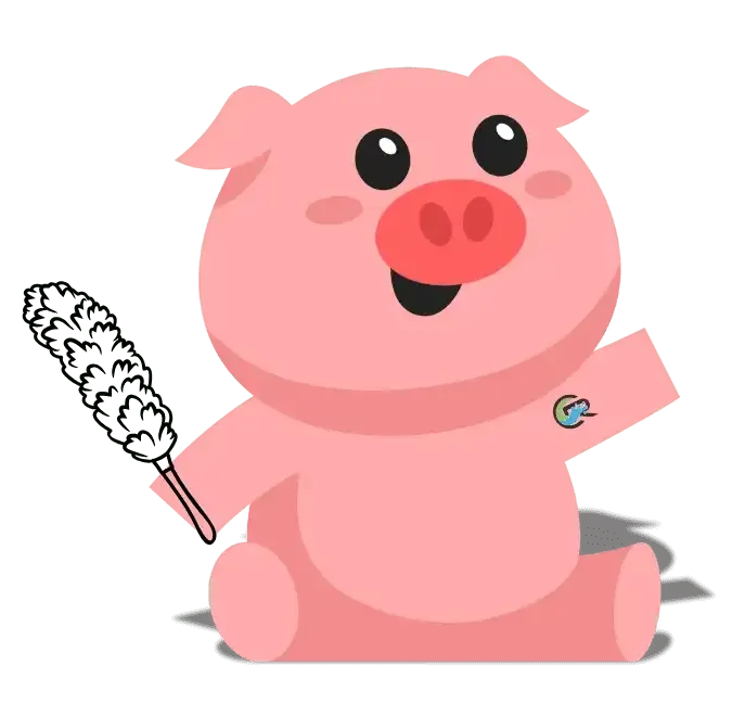 Squeeker with a duster