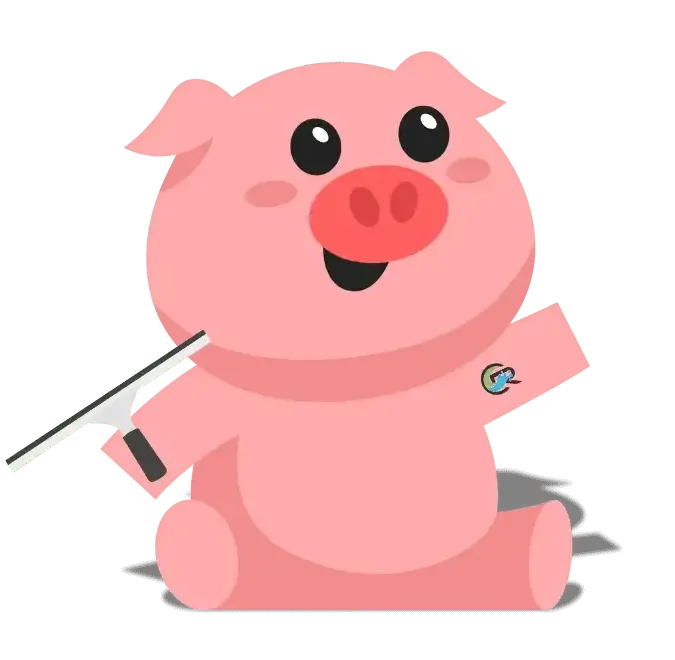 Window squeeker window cleaning services